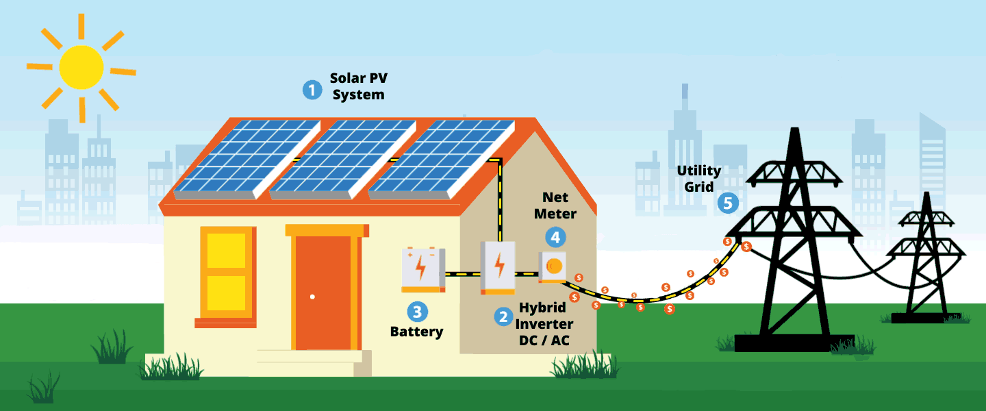 Read more about the article What are the environmental benefits of solar energy–and what are its impacts?